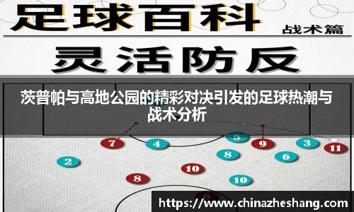 茨普帕与高地公园的精彩对决引发的足球热潮与战术分析
